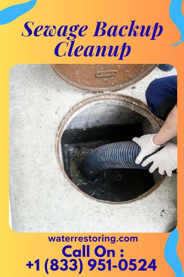 Sewage Backup Cleanup in New Columbus, PA